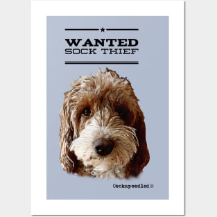 Cockapoo / Doodle Dog Sock Thief Posters and Art